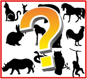 Mystery Animal Silhouettes